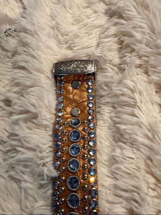 Kippy’s  bronze  metallic leather belt with light blue Swarovski crystals.